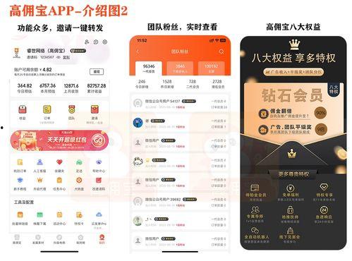 抖音最新爆料入口是什么,掌握最新动态,尽在指尖
